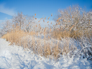 Winter in Hannover  Bemerode