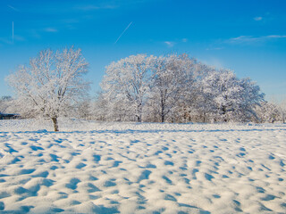 Winter in Hannover  Bemerode