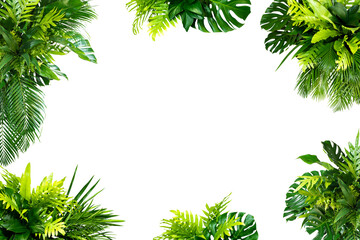 Monstera and palm and tropical leaves foliage plant bush floral arrangement nature backdrop isolated on white background, 