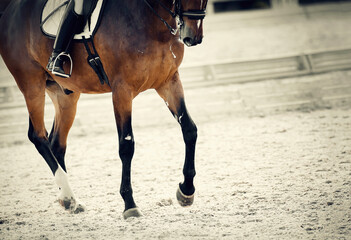 Obraz premium Equestrian sport. The leg of the rider in the stirrup, riding on a red horse.