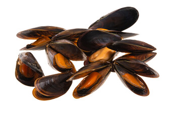 mussels isolated