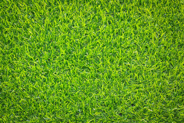 Fototapeta premium Artificial Grass background