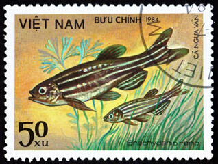 Postage stamp Vietnam 1984 zebrafish, tropical fish