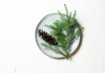 Gray plate with fir tree branch and cone on white background