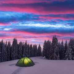 Green tent lighted from the inside by a flashlight against the backdrop of pine tree forest and glowind pink sky. Amazing snowy landscape. Tourists camp in winter mountains. Travel concept
