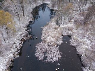 Snow-covered lake shore in the park. A thin layer of the first snow on earth. Aerial drone view.