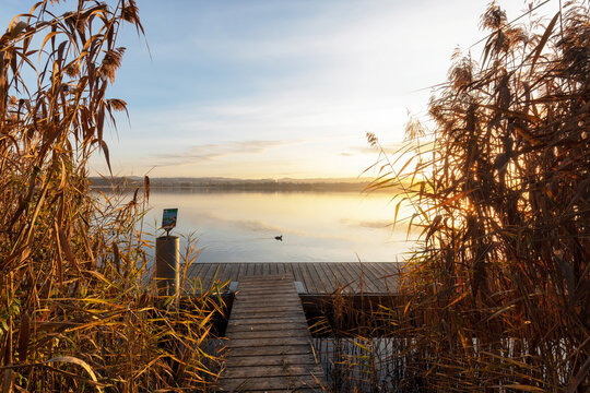 Greifensee