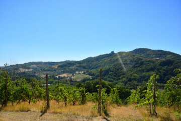 Fototapeta na wymiar Una soleggiata e verdeggiante vista della Valconca e in lontananza l'imponente Rocca Malatestiana di Montefiore Conca