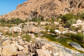 Landscape of Wadi Tiwi oasis with water springs, rocks stone and palm trees, Sultanate of Oman.