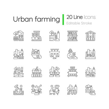 Urban farming linear icons set. Backyard garden. Environmental improvement. Street landscaping. Customizable thin line contour symbols. Isolated vector outline illustrations. Editable stroke