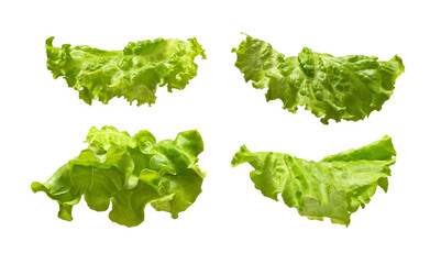 Fresh lettuce leaves isolated on white background - obrazy, fototapety, plakaty