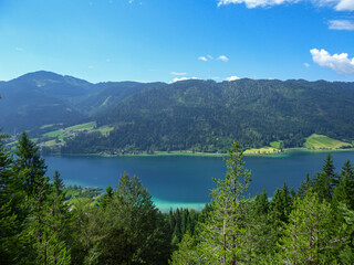 Fototapeta na wymiar A distant view on Weissensee lake in Austria, seen from between the tree branches. The lake has a strong turquoise color and is surrounded by high mountains from each side. Natural beauty