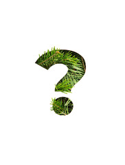 Question punctuation mark of evergreen spruce tree needles, cut paper isolated on white. Xmas textured font of fir twigs