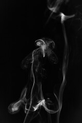 Abstract white smoke forms and spirals on black background 2