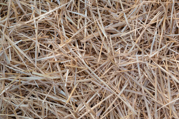 A beveled straw. Close-up. Background