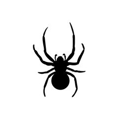 Spider Black Widow. Black bug spider silhouette, isolated white background. Scary Halloween icon, symbol horror, animal arachnid, creepy dangerous insect, arachnophobia fear Vector illustration