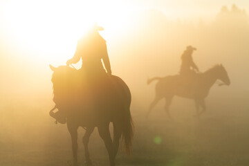 silhouette of cowgirl with lasso on horse at sunrise