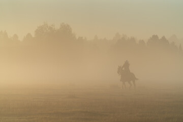 Naklejka na ściany i meble silhouette of cowgirl with lasso on horse at sunrise