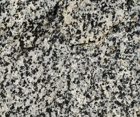 Texture and background for the material. Unique pattern of gray cement texture in the pimples of the wall.