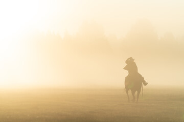 silhouette of cowgirl with lasso on horse at sunrise