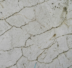 Texture and background for the material. Unique crack pattern on asphalt