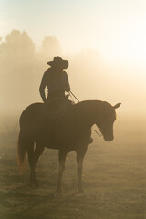 silhouette of cowgirl with lasso on horse at sunrise