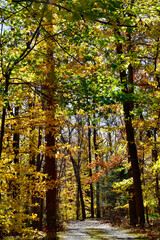 Fototapeta na wymiar Rural road in Pennsylvania in autumn colors