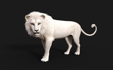 Obraz na płótnie Canvas 3D illustration of white lion acts and poses isolated on dark black background with clipping path. Lion king. 