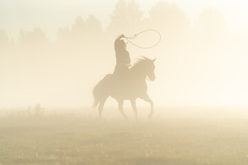 silhouette of cowgirl with lasso on horse at sunrise