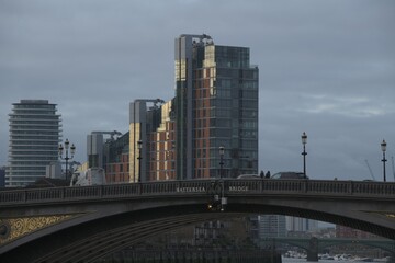Fototapeta premium A macro of a dragon fly on a plant.