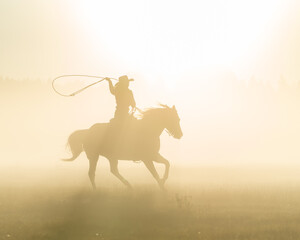 silhouette of a lasso horse in the sunset - obrazy, fototapety, plakaty