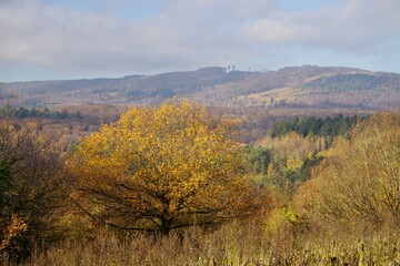 Fototapeta premium Herbstlicher Blick