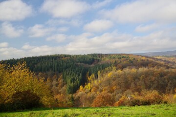 Herbstlandschaft