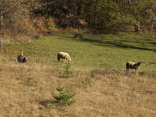 Lanscape Expression 8