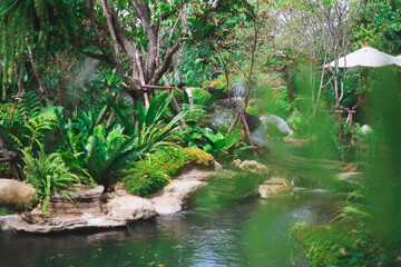 Naklejka na ściany i meble Beautiful Natural Green Forest in Thailand. 