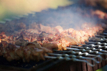 Ready-baked pork kebab on the coals of the grill.