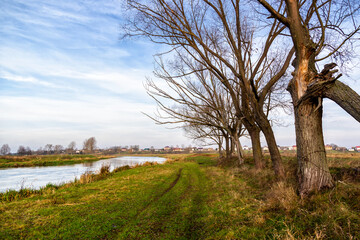 Jesienne krajobrazy z doliny Narwi, Podlasie, Polska