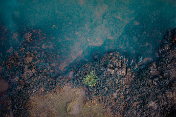 Top Angle in Water and land