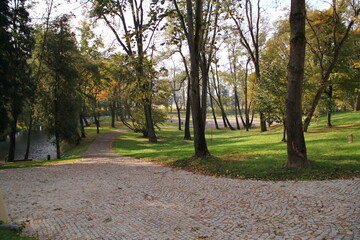 Zarzecze park