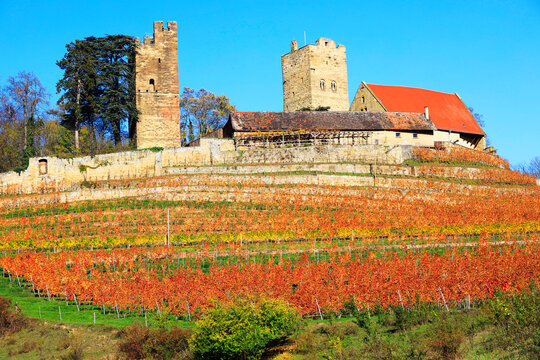 The Castle Neipperg near Heilbronn, Germany, Europe