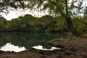 Fototapeta na wymiar Lago de Camecuaro con árboles en sus orillas.