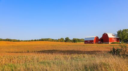 Red barn in the fields of  Michigan