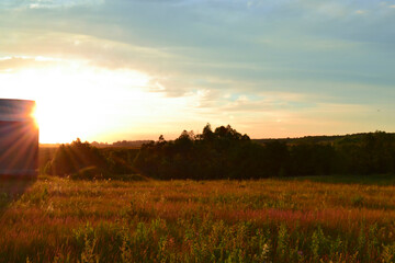 sunset over the field