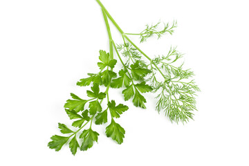 dill parsley to spices bunch isolated on white background