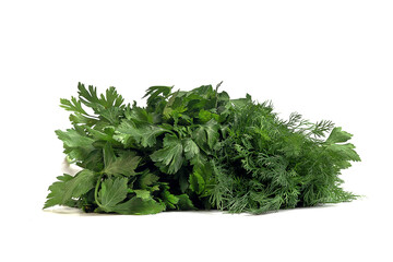 fresh parsley greens and dill on a white background