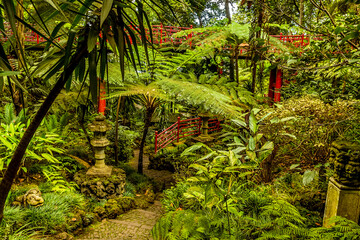 A view across the tropical garden above the city of Funchal Madeira