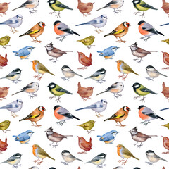 Festive endless texture. Watercolor of forest birds isolated on white.  Seamless pattern for greeting design. Hand drawn stock illustration.