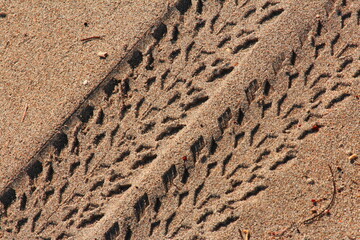 Sand tracks
