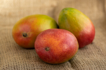 Ripening stone fruits mangoes spread on light brown jute background, product of plant mangifera, green red color