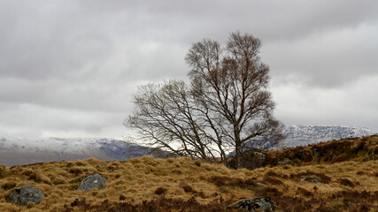Schottland Reise